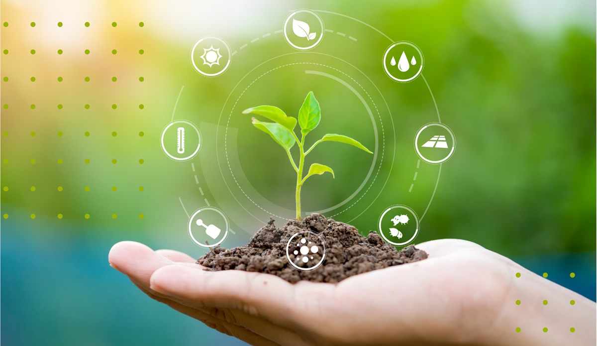 Muda de planta em uma mão, cercada por ícones de monitoramento agrícola
